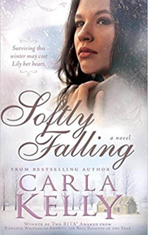Softly Falling - Book Cover